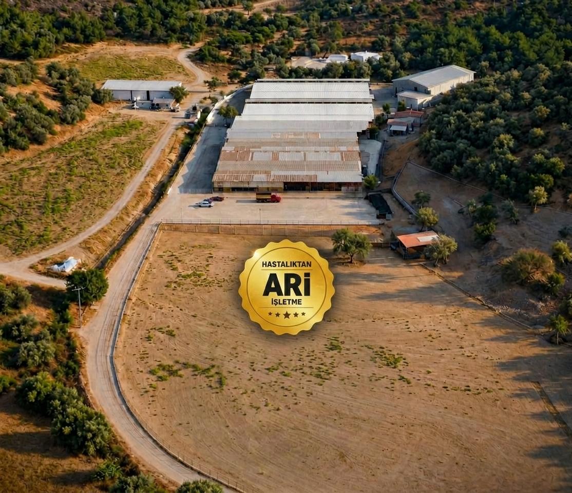 Foça Besi Çiftliği'nin havadan görünümü ve Hastalıktan Ari İşletme rozeti
